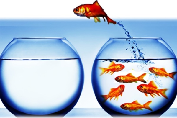 Avec next125, pensez la cuisine différemment ! »